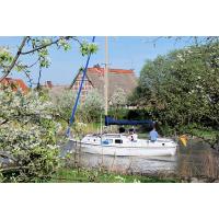 2590_1795 Ein Segelboot auf der Lühe, Obstbäume am Flussufer. | Fruehlingsfotos aus der Hansestadt Hamburg; Vol. 2
